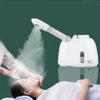 Luna Ozone Facial Steamer